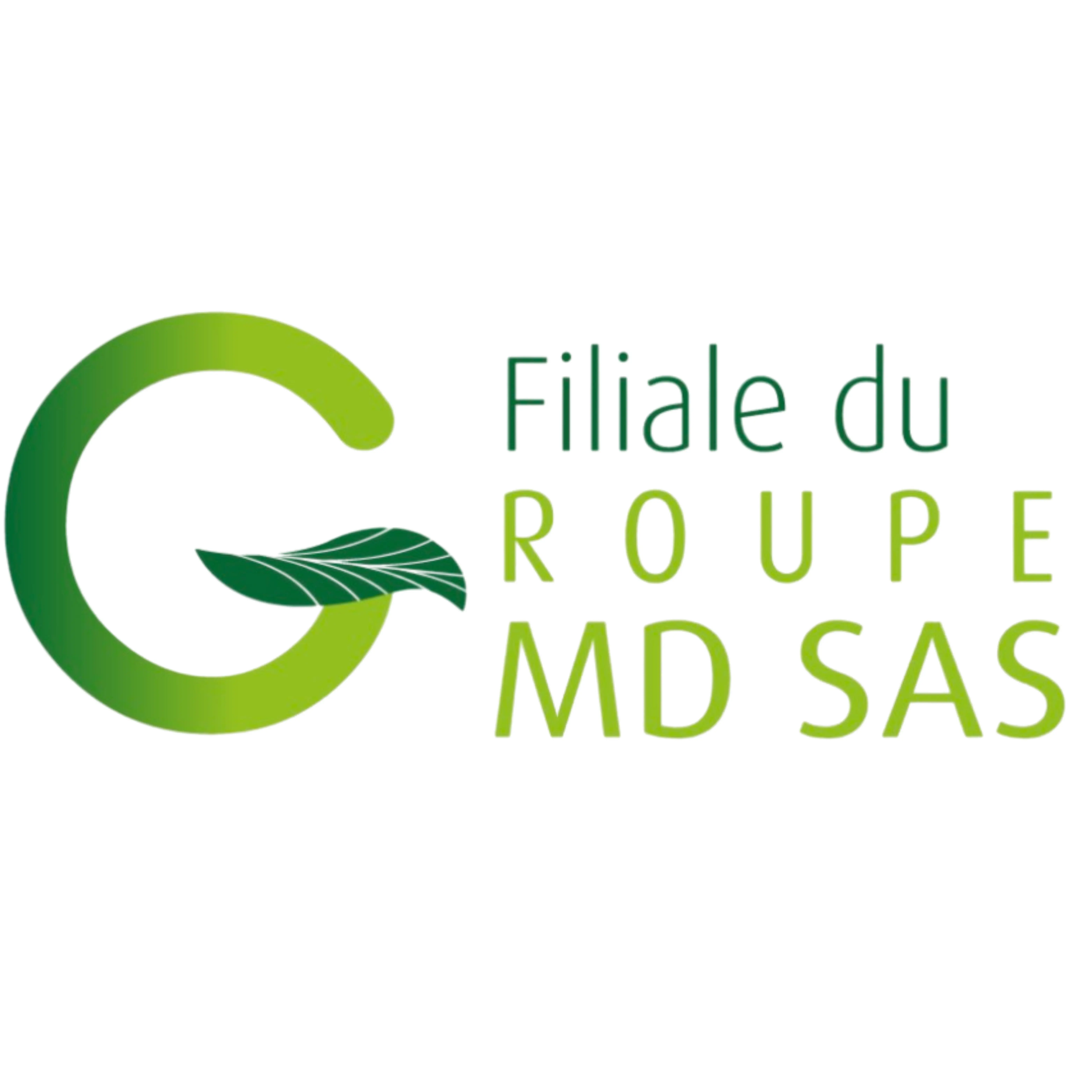 LOGO GROUPE GMD SAS